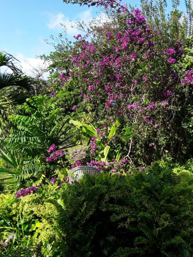 La Siguine Villa Gourbeyre Eksteriør bilde